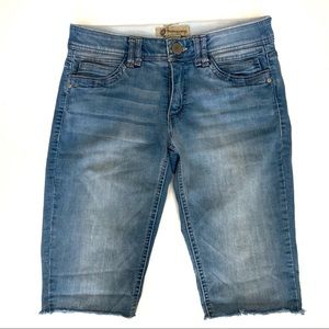 Democracy Ab technology shorts